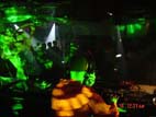 CLUB MILLENNIUM